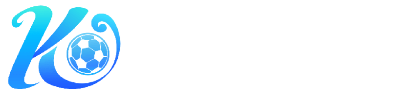 B33体育